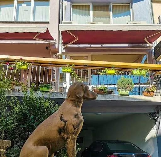 La Primavera Spacious * 普罗夫迪夫